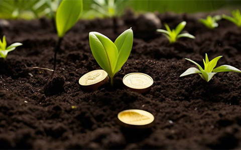 2025不看芝麻分征信，安利5个芝麻信用纳入征信吗