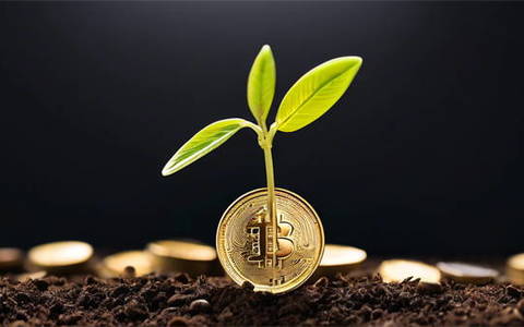 2025年最新逾期网贷下款有什么口子，专业概括5个逾期黑户哪里可以借到钱