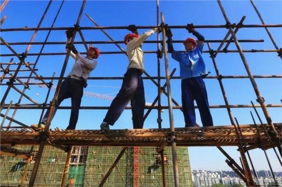 2025征信花好下款的网贷口子，今年可以尝试这5个征信花10个居然通过了