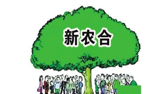 2025有无视逾期的贷款么，专业解读五个不查逾期的借款app